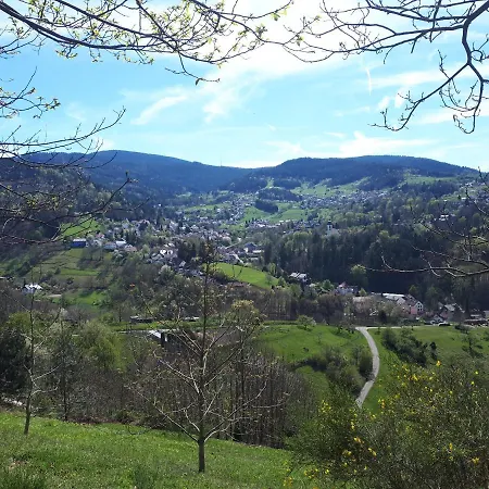 Schwarzwaldblick