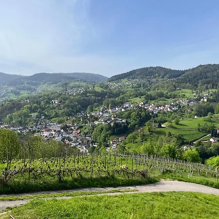 Schwarzwaldblick * Bühlertal
